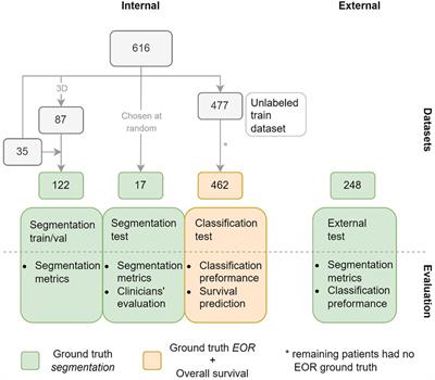 Standardized evaluation of the extent of resection in glioblastoma with automated early post-operative segmentation